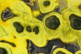 Very Vibrant, Free-Standing Polished Bumblebee Jasper #358621-1